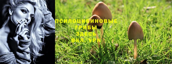 соль ск Мегион