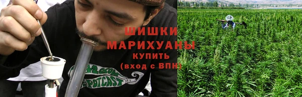 молекула духа Михайлов